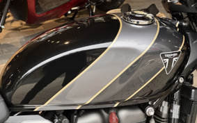 TRIUMPH SPEED TWIN 900 2026 DP0G21