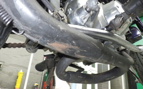 HONDA MONKEY Z50J