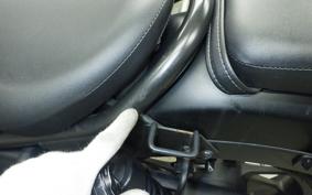 HONDA REBEL 250 2021 MC49