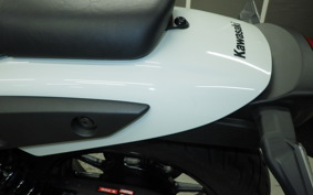 KAWASAKI ELIMINATOR400-3 2025