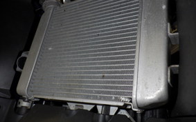 SUZUKI GSX-R125 2013 DL33B