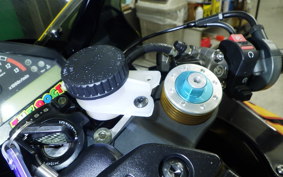 HONDA CBR1000RR 2006 SC57