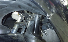 KAWASAKI NINJA 250R 2020 EX250K