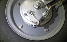 OTHER +RABBIT125 2023 S301