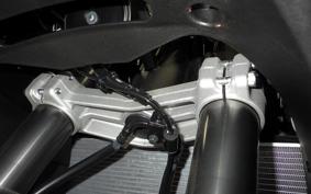 KAWASAKI NINJA1100SX 2025