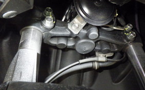 YAMAHA CYGNUSｸﾞﾘﾌｧｽ SEJ4J