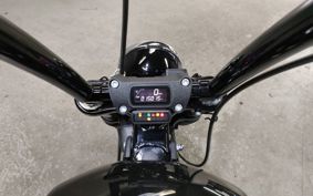 HARLEY  HARLEY FXBB1750 YJJ