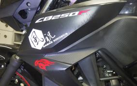 HONDA CB250FA 2013 MC43