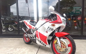 YAMAHA TZR250 1KT
