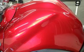 YAMAHA FZ1 FAZER 2010 RN21J