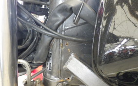 HONDA HORNET 250 MC31