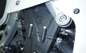 YAMAHA XSR900 GP 2024 RN96J
