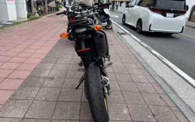 YAMAHA WR250X DG15J