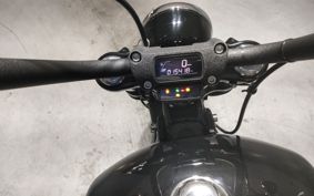 HARLEY FXBBS1870 2021 YYK