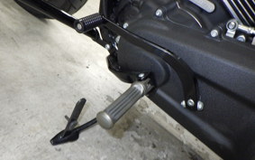 HARLEY FXLRS1920 2025