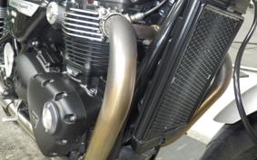 TRIUMPH SPEED TWIN 2024