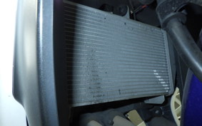 YAMAHA YZF-R25 2001 RG10J