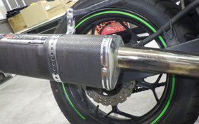 KAWASAKI NINJA 250 EX250L