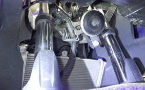 YAMAHA YZF-R25
