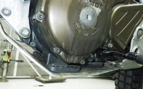 HONDA TLR250R 2001 MD18