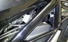 HUSQVARNA SVARTPILEN 401 2020