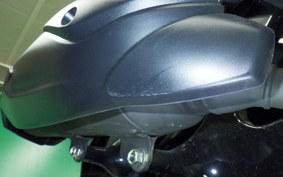 YAMAHA CYGNUSｸﾞﾘﾌｧｽ 2025 SEJ4J