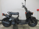 Фото Honda ZUMAR 2011 с японского аукциона