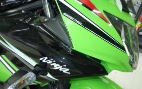 KAWASAKI NINJA 250 SL