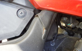 KAWASAKI NINJA 250 EX250L