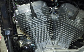 HARLEY XL883LI 2014
