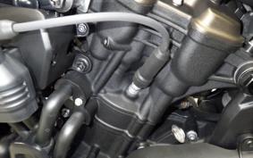 HARLEY RH1250S 2025
