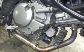 SUZUKI Vｽﾄﾛｰﾑ650 2010
