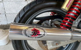 SUZUKI GSX250 ZR250C