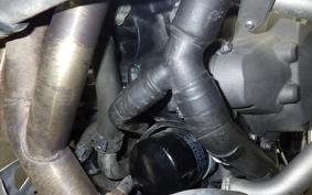 TRIUMPH TIGER 900 RALLY PRO 2022