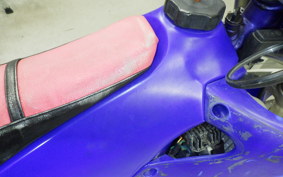 YAMAHA WR250F 2024 CG11W