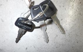 HONDA MONKEY 2024 Z50J