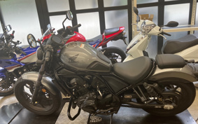 HONDA REBEL 1100 DCT 2023 SC83