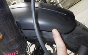 TRIUMPH TRIDENT 660 2021