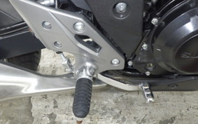 SUZUKI GSX250R 2010