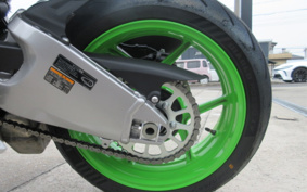KAWASAKI NINJA ZX-6R ABS 2024 ZX636J