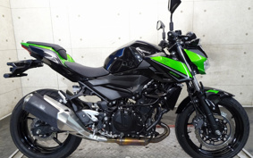 KAWASAKI Z250 EX250Y