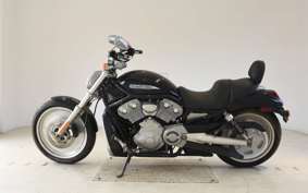 HARLEY V-ROD 1130 2004