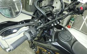 KAWASAKI KLX230 SM 2015 LX230A