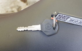 YAMAHA MT-25 A RG74J