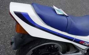 HONDA VT250FE 1999 MC08