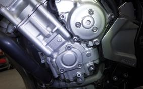 YAMAHA FZ1 FAZER 2009 RN21J