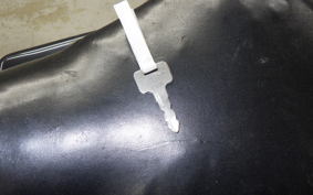 KAWASAKI 250TR 2015 BJ250F