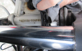 KAWASAKI KLE250 LE250A