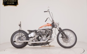 OTHER UNREGISTERED MODEL by BDS1200 2023
