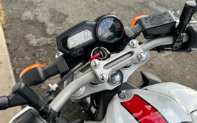 YAMAHA FZ1 FAZER N 2009 RN21J
